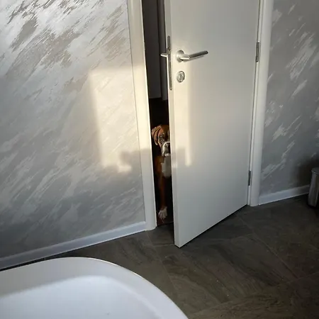 公寓 Vranjes 贝尔格莱德