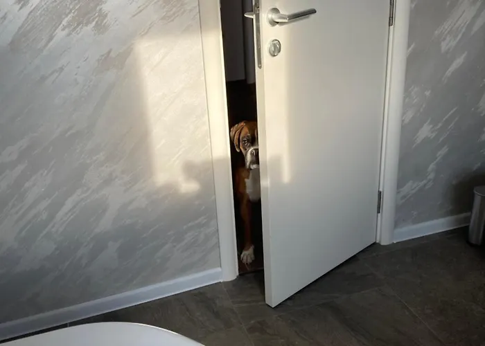 Apartman Vranjes Belgrade